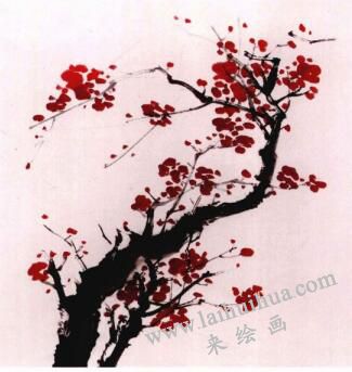 國(guó)畫(huà)梅花的畫(huà)法步驟03