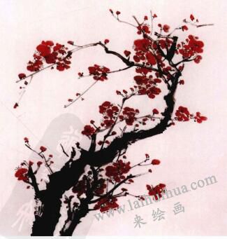 國(guó)畫(huà)梅花的畫(huà)法步驟04