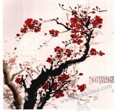 國(guó)畫(huà)梅花的畫(huà)法步驟05