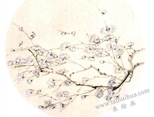國(guó)畫(huà)梅花的畫(huà)法步驟04