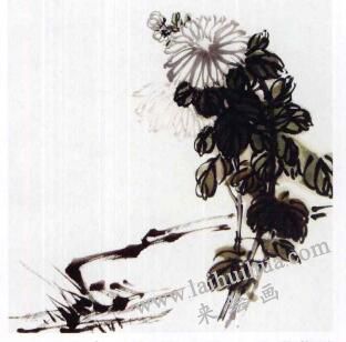 國(guó)畫(huà)菊花的范畫(huà)練習(xí)步驟02，范畫(huà)五