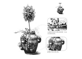植物花卉素描畫法