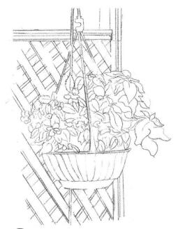 私家小院素描畫法步驟01