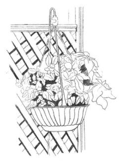 私家小院素描畫法步驟02
