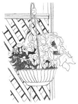 私家小院素描畫法步驟03