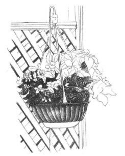 私家小院素描畫法步驟04
