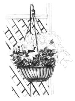 私家小院素描畫法步驟05