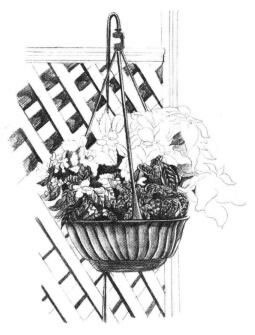 私家小院素描畫法步驟06