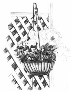 私家小院素描畫法步驟07