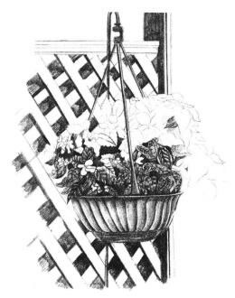 私家小院素描畫法步驟08