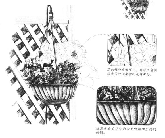 私家小院素描畫法步驟