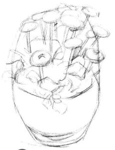 小盆栽雛菊素描畫(huà)法步驟02
