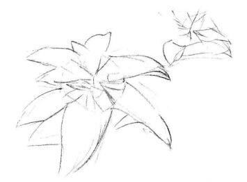 希美麗素描畫法步驟01