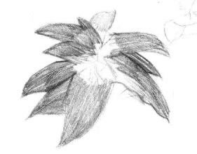 希美麗素描畫法步驟03