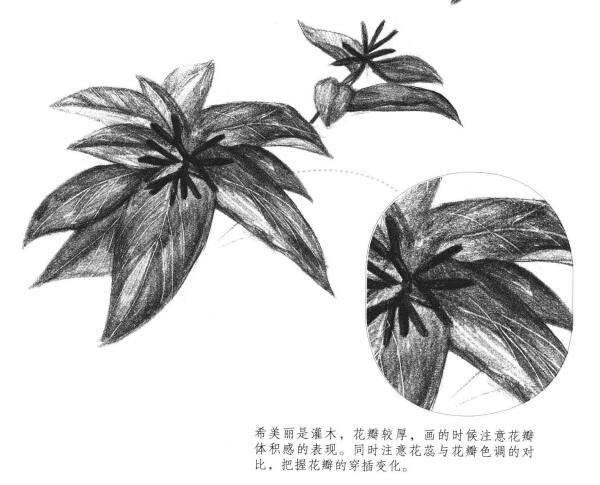 希美麗素描畫法