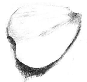 玫瑰花瓣素描畫法步驟04