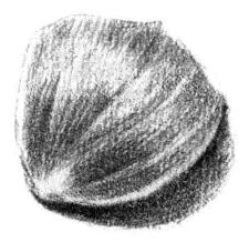 素描繪畫(huà)的流程03