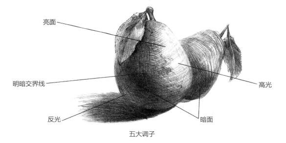 素描繪畫(huà)的表現(xiàn)方式：五大調(diào)子