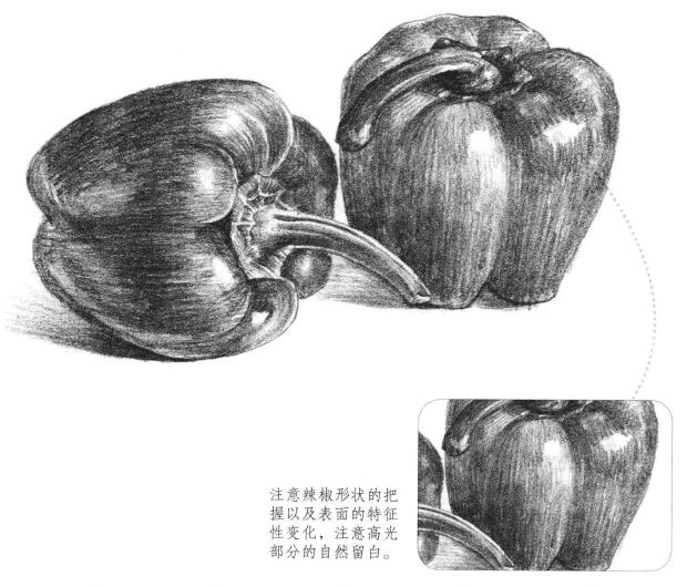 太空椒素描畫法