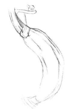 黃瓜素描畫法步驟02