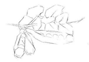 豌豆素描畫法步驟01