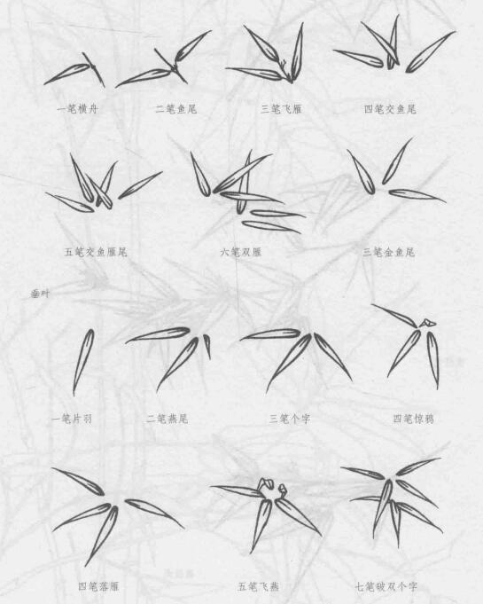 白描竹葉的畫(huà)法
