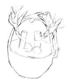 富貴竹素描畫(huà)法步驟02
