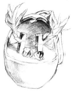 富貴竹素描畫(huà)法步驟05