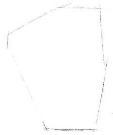 小盆栽水仙花素描畫(huà)法步驟01