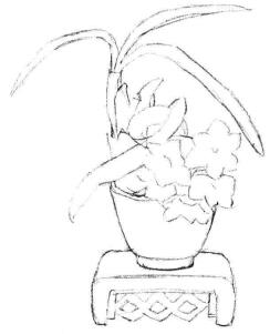 小盆栽水仙花素描畫(huà)法步驟02