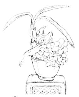 小盆栽水仙花素描畫(huà)法步驟03