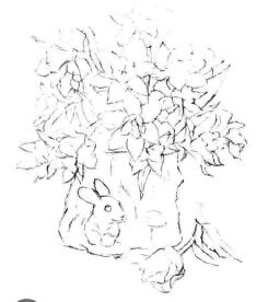 小盆栽木盆花卉素描畫(huà)法步驟04