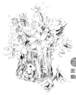 小盆栽木盆花卉素描畫(huà)法步驟07