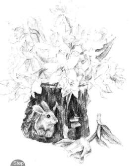 小盆栽木盆花卉素描畫(huà)法步驟10