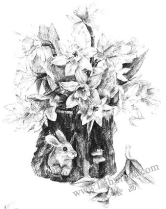 小盆栽木盆花卉素描畫(huà)法步驟13