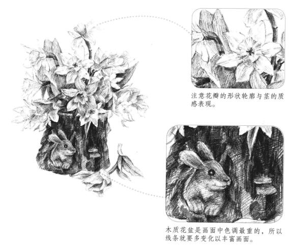 木盆花卉素描畫(huà)法
