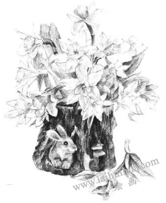 小盆栽木盆花卉素描畫(huà)法步驟12