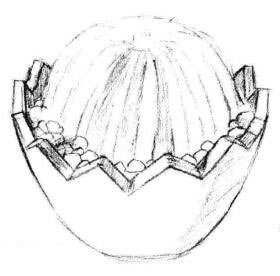 小盆栽仙人球素描畫(huà)法步驟05