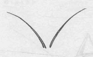 白描蝴蝶的畫法步驟與技巧01