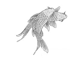 白描鯉魚作品圖片