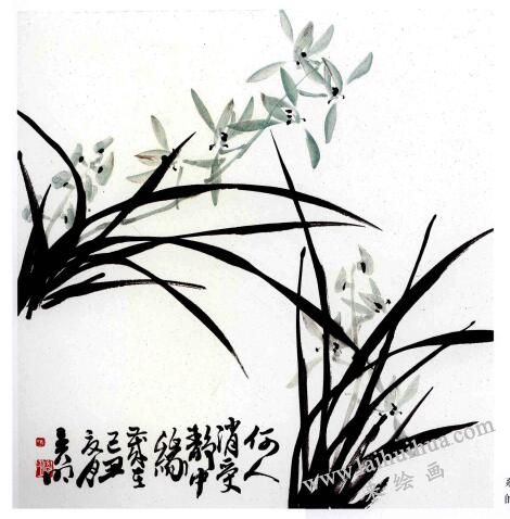 蘭花的畫法范畫畫法步驟04