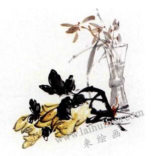 蘭花的畫法范畫畫法步驟03
