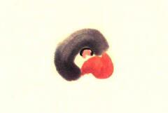 猴子撈月兒童水墨畫(huà)畫(huà)法步驟01