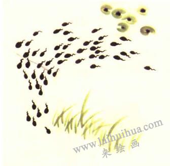 小蝌蚪兒童水墨畫畫法步驟04