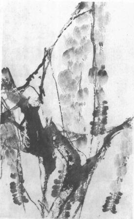 水墨畫技法之點(diǎn)水法（藤羅花點(diǎn)水法）01