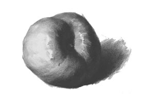 蘋果的作畫步驟與結(jié)構(gòu)素描練習(xí)