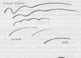 禽鳥白描畫法的基本筆法