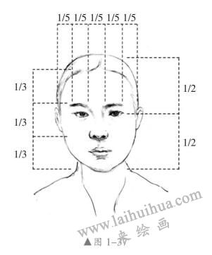 頭部結(jié)構(gòu)特征與比例關(guān)系03，人物頭部素描畫法