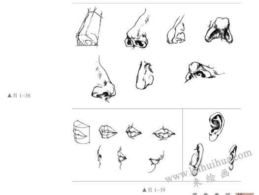 五官的造型特征，人物頭部素描畫法
