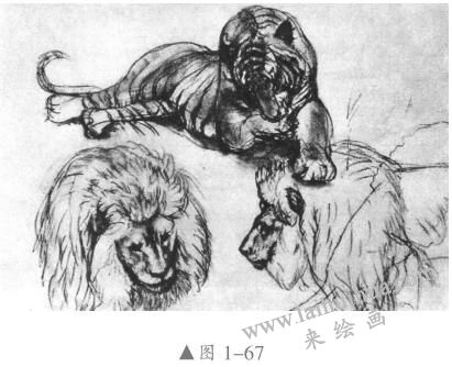 素描動(dòng)物的畫(huà)法01